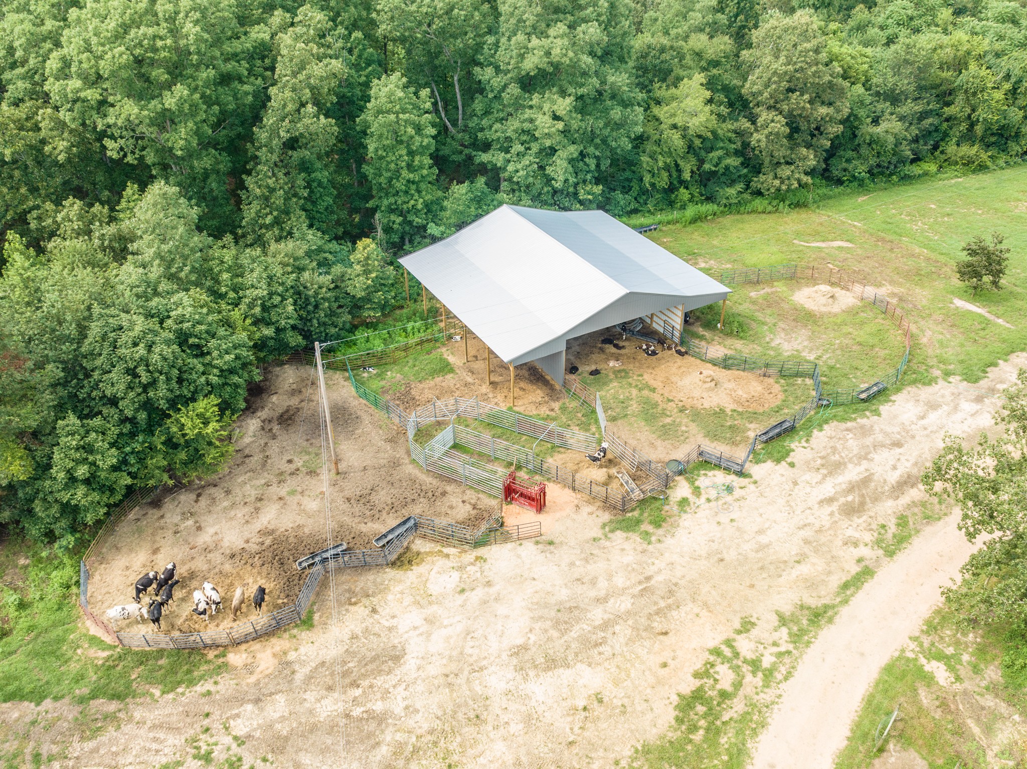 2790 9 Mile Ridge Road Duck River, TN 38454 - Photo 52 of 70 a view of a backyard with a large tree