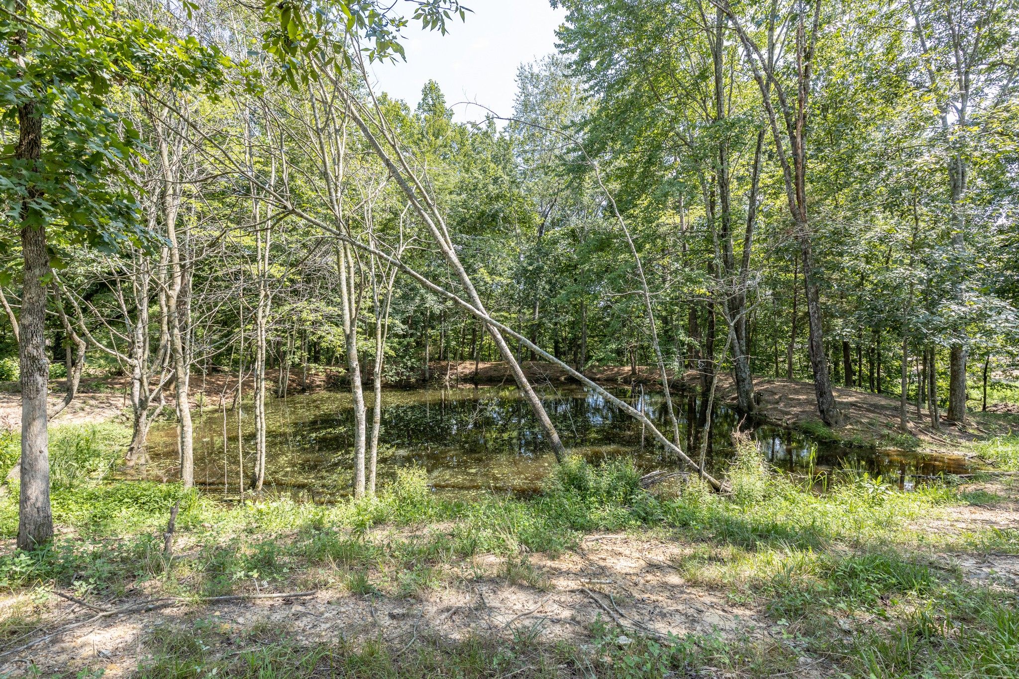 2790 9 Mile Ridge Road Duck River, TN 38454 - Photo 53 of 70