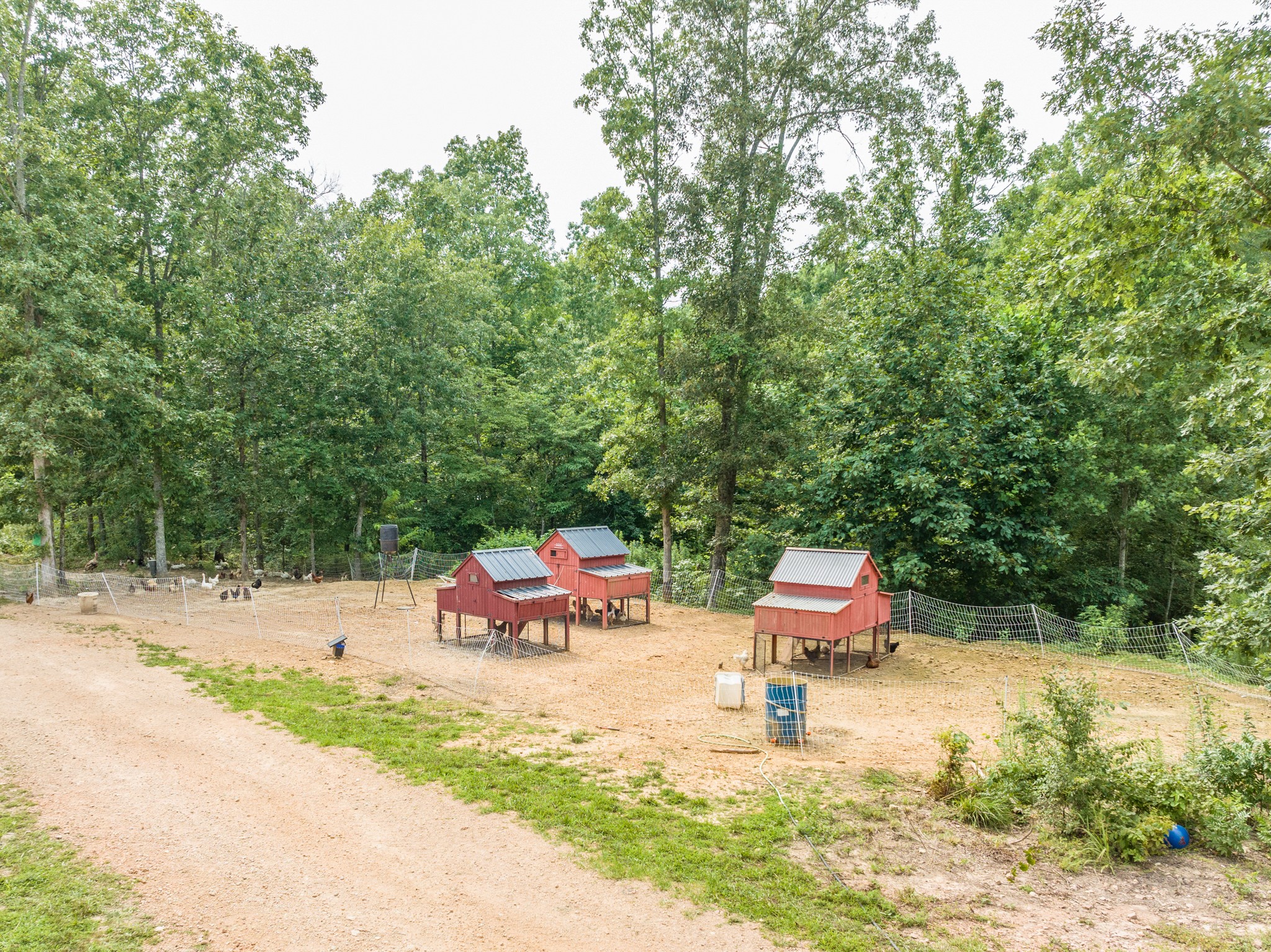 2790 9 Mile Ridge Road Duck River, TN 38454 - Photo 57 of 70