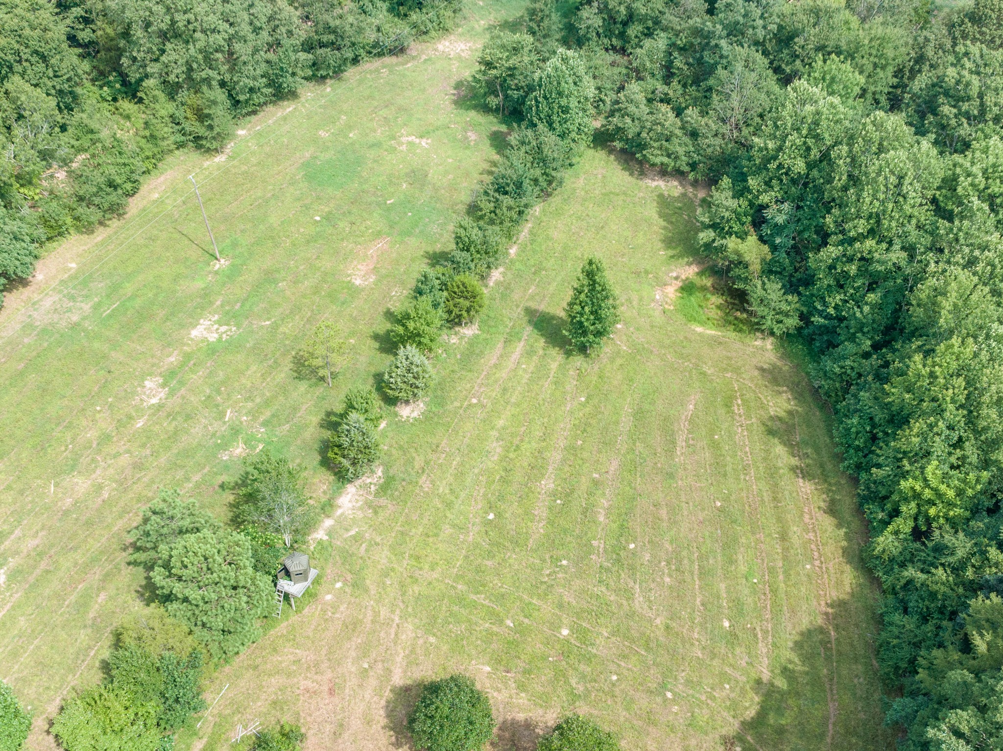 2790 9 Mile Ridge Road Duck River, TN 38454 - Photo 60 of 70