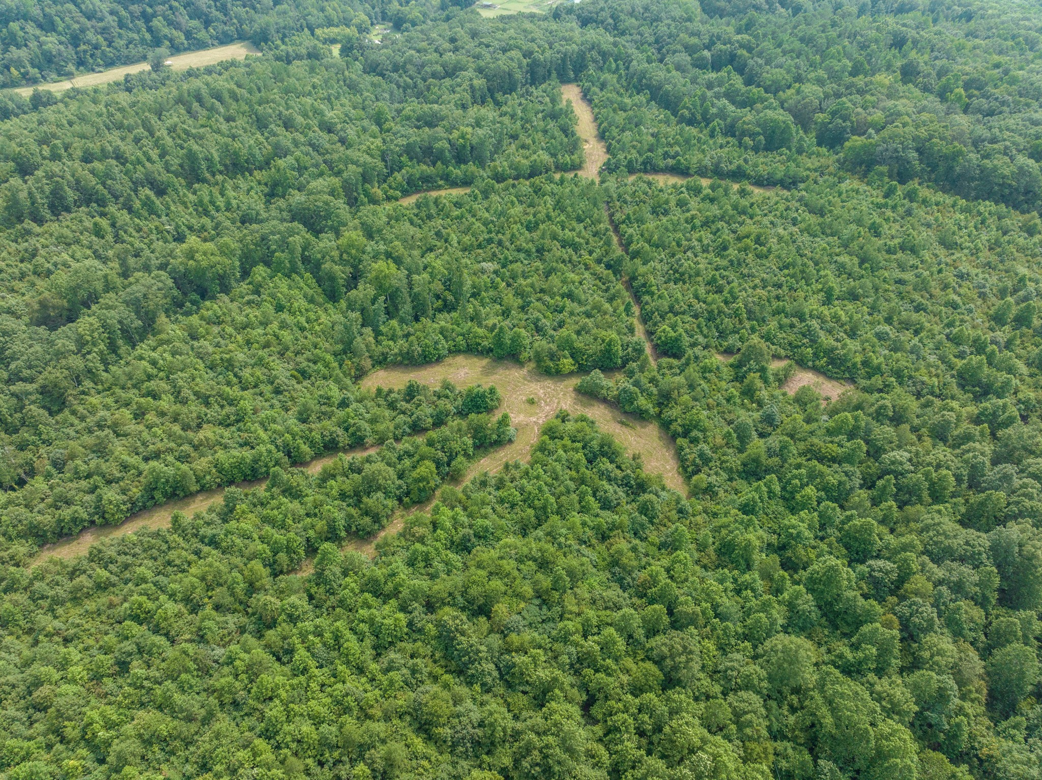 2790 9 Mile Ridge Road Duck River, TN 38454 - Photo 63 of 70 a view of a forest with a street