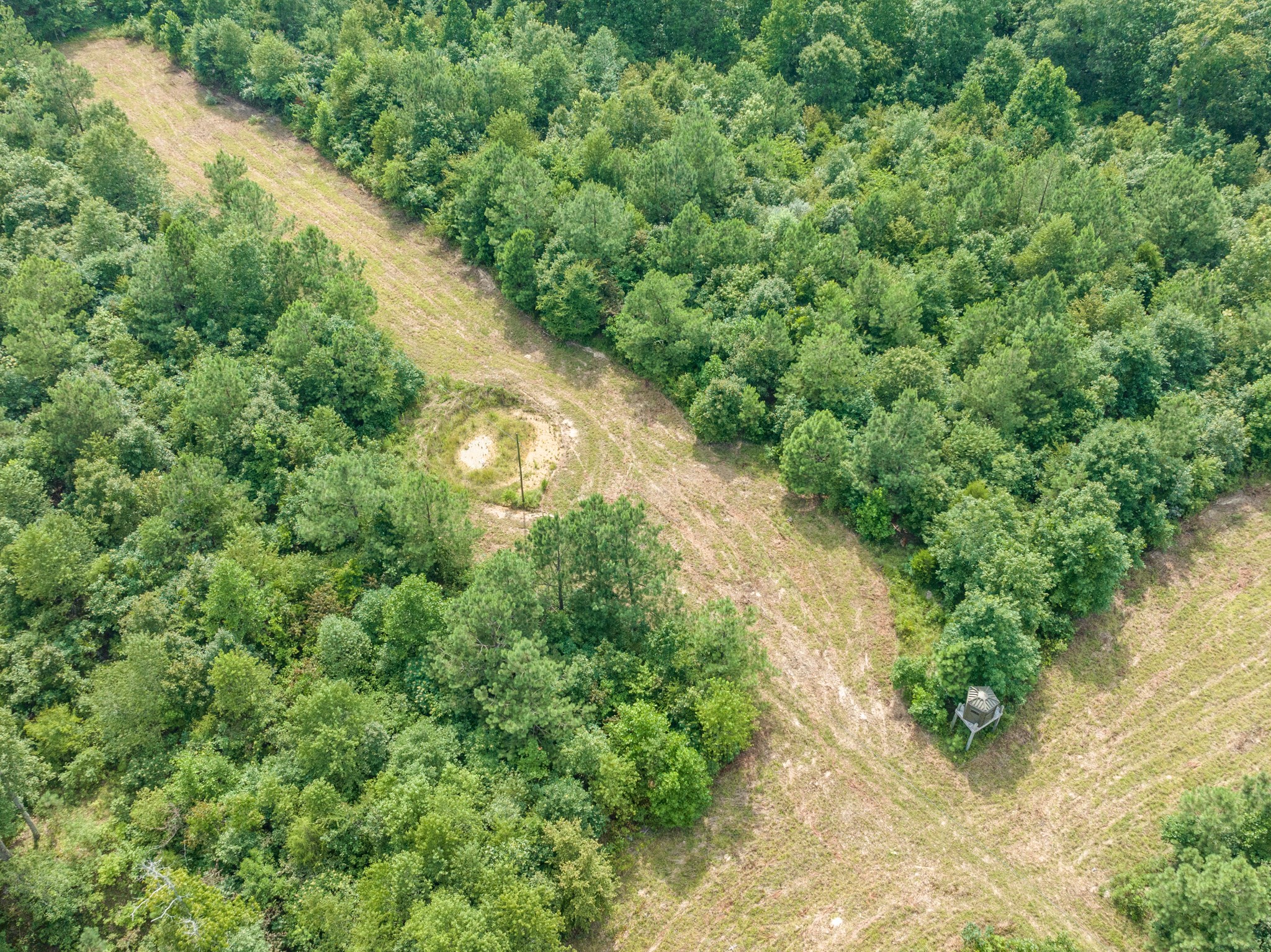 2790 9 Mile Ridge Road Duck River, TN 38454 - Photo 64 of 70 a view of a yard with plants and a bench
