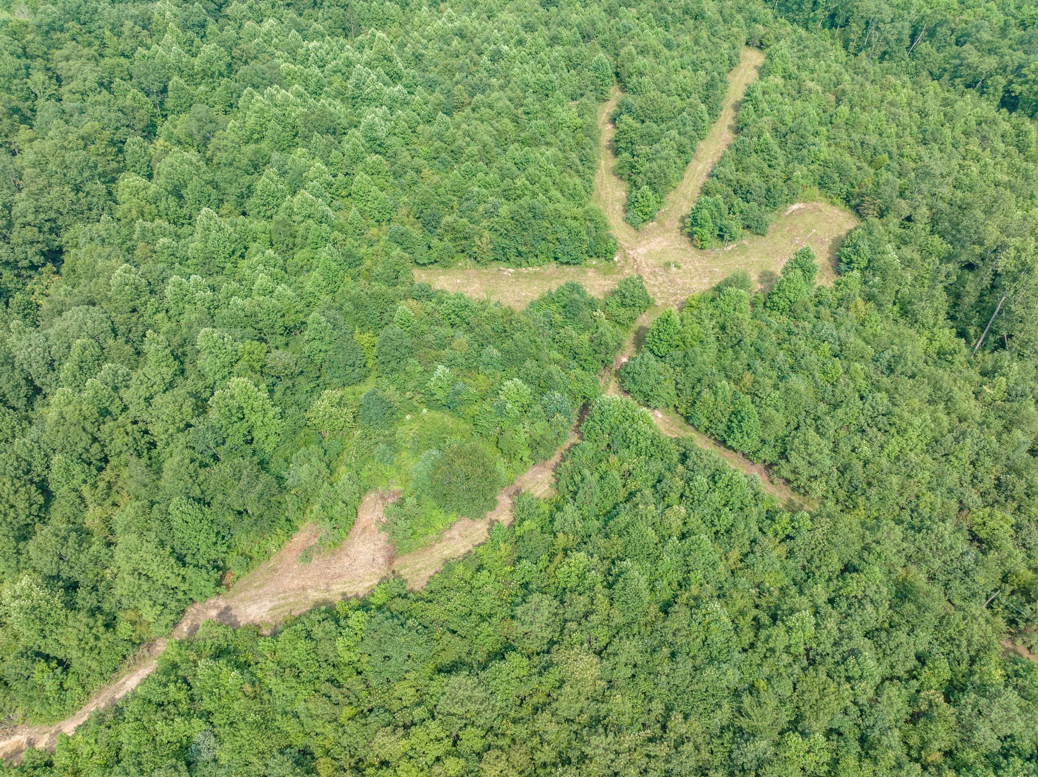 2790 9 Mile Ridge Road Duck River, TN 38454 - Photo 65 of 70 a backyard of a house with lots of green space and trees all around