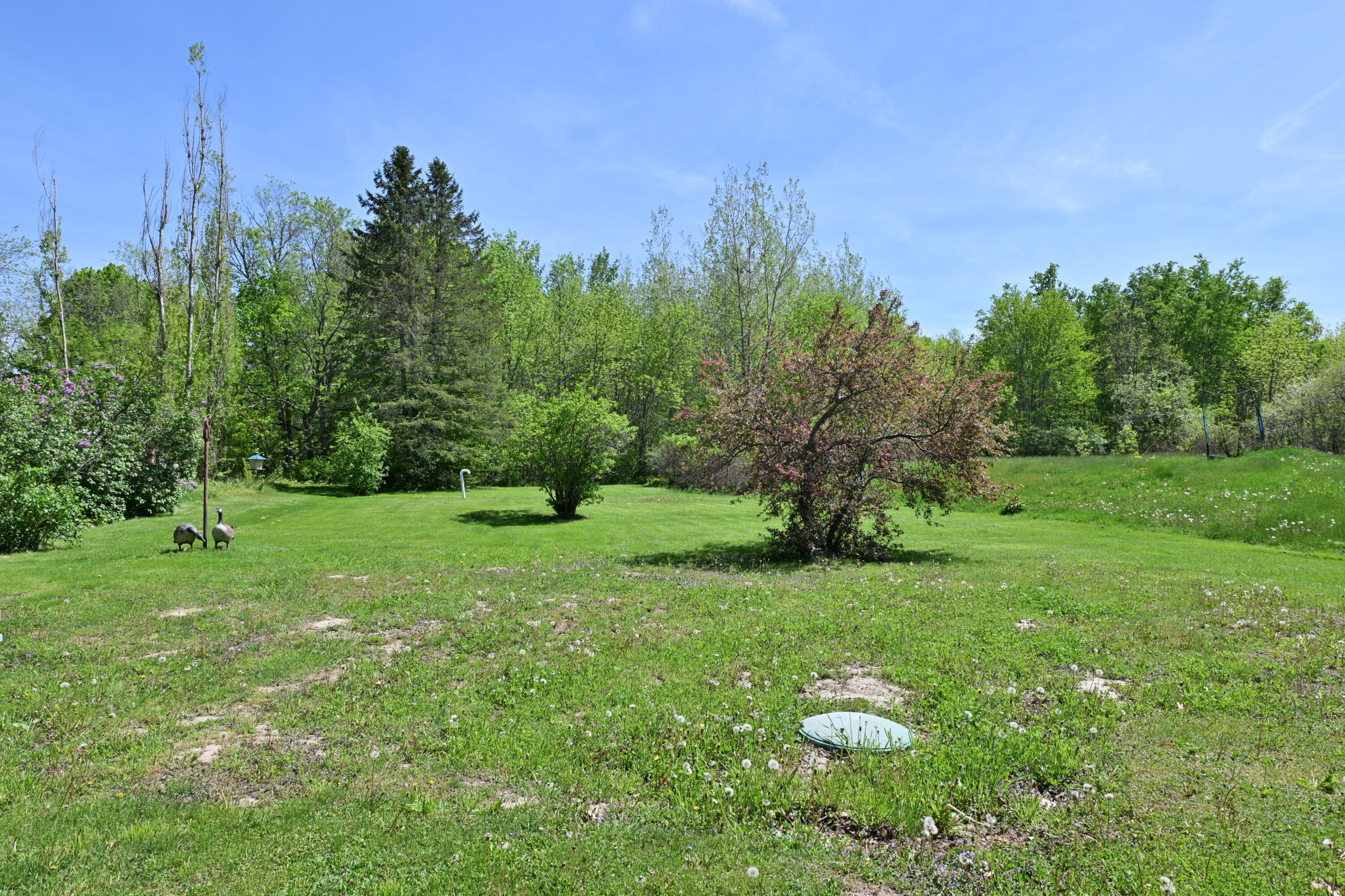 651 Mohawk Road Lincoln, ME 04457 - Photo 24 of 24 DSC_2568