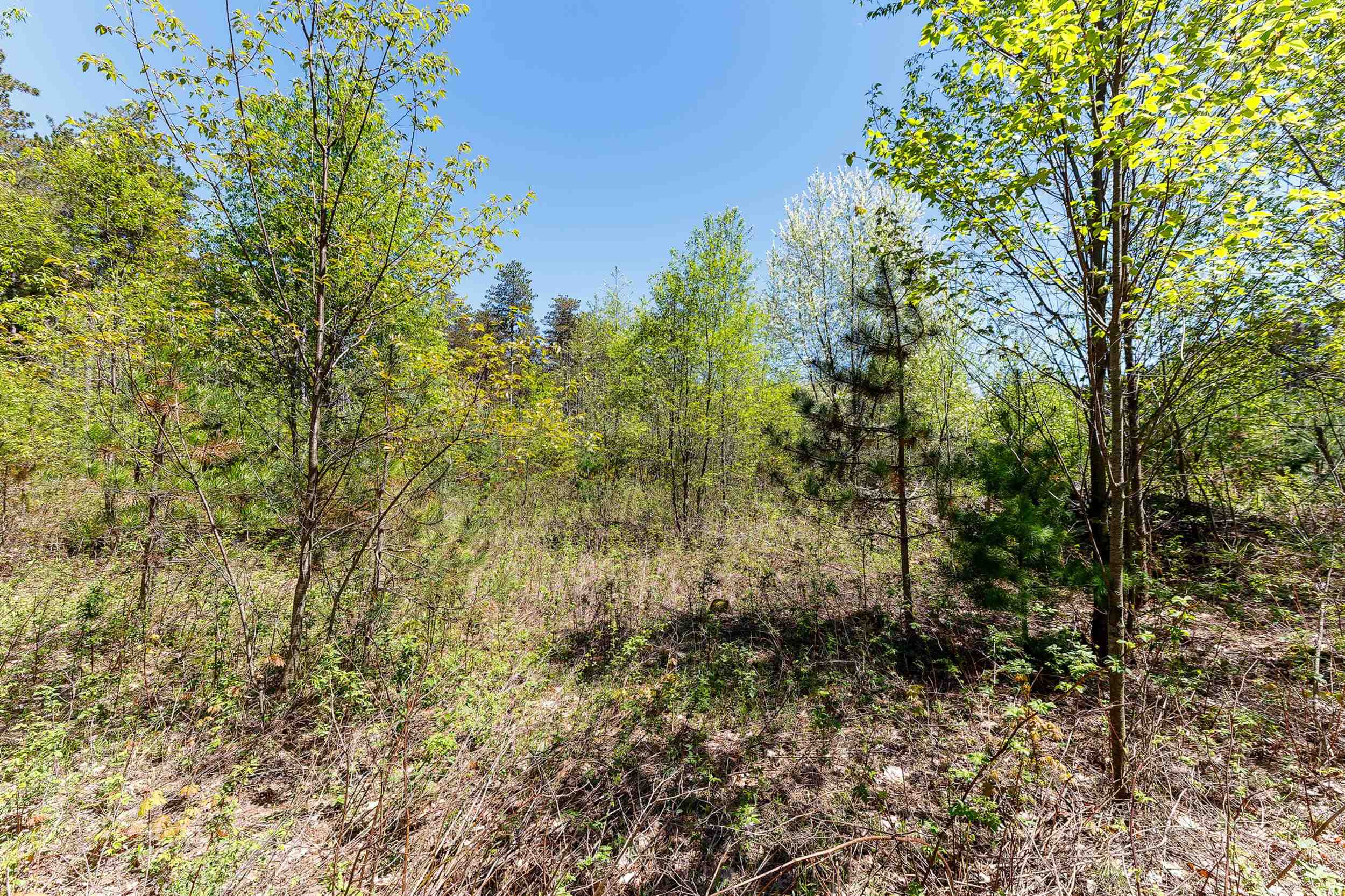 3219 Nugent Road Frankfort, MI 49635 - Photo 7 of 15