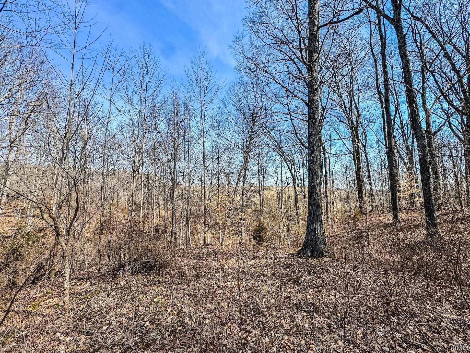 7716 North Lydy Road Bloomington, IN 47408 - Photo 21 of 35