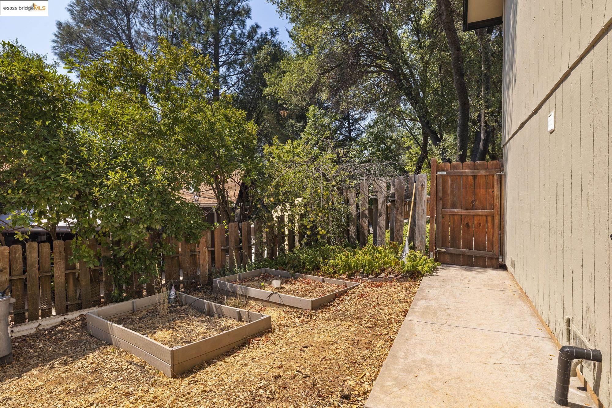 21645 La Vereda Road Sonora, CA 95370 - Photo 31 of 32 a view of a backyard of the house