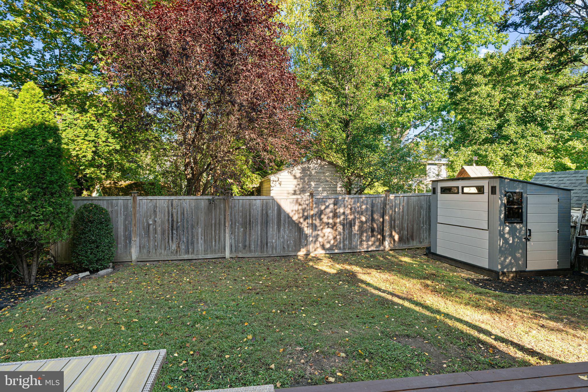 63 Trueman Avenue Haddonfield, NJ 08033 - Photo 42 of 46 a view of a backyard with a tree