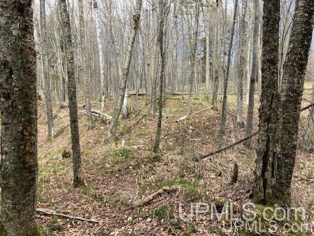 Tbd Channel Road Watersmeet, MI 49969 - Photo 18 of 33 Gallery Image 18