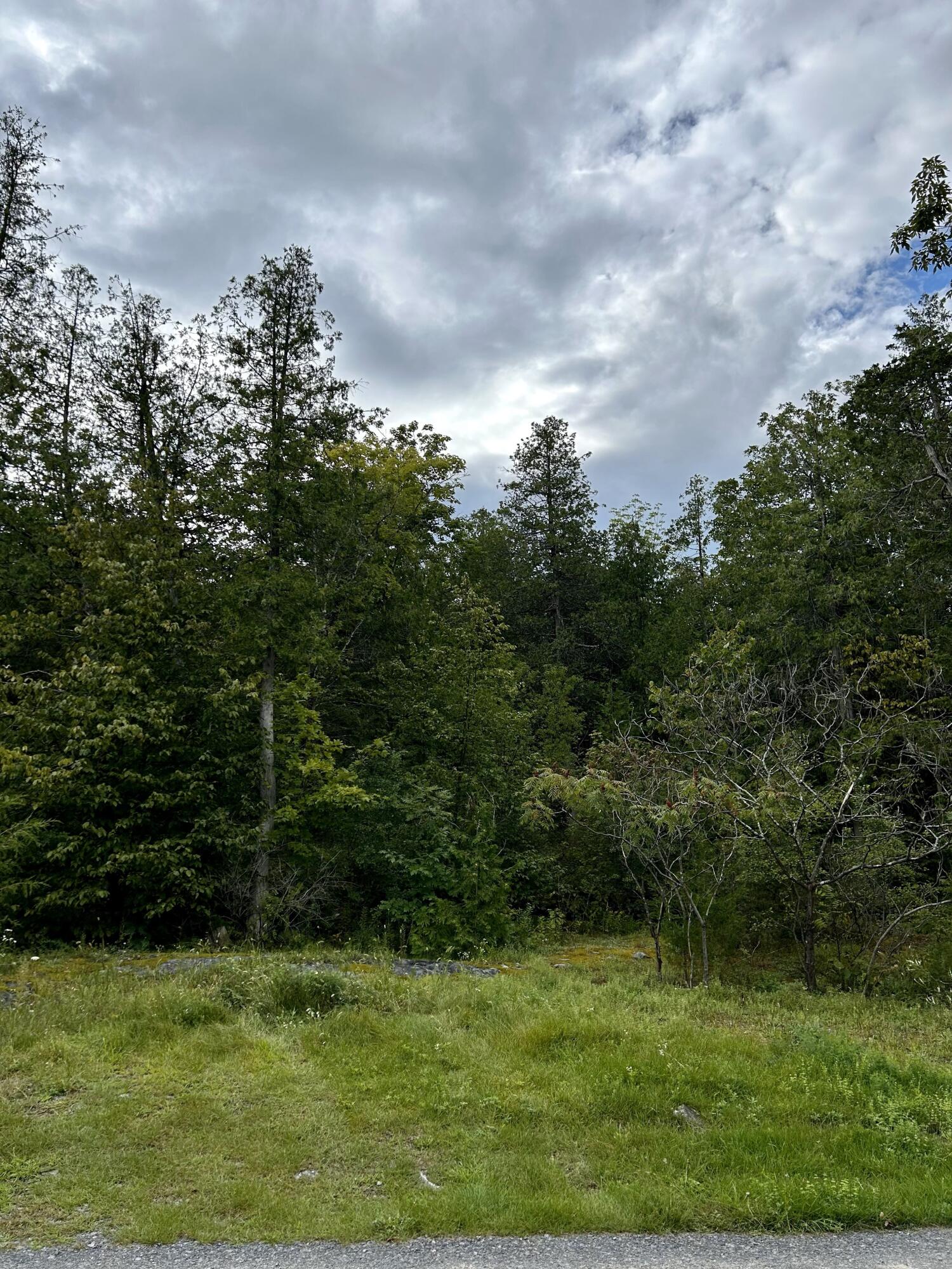 0 Bluff Point Drive Plattsburgh, NY 12901 - Photo 11 of 21 13