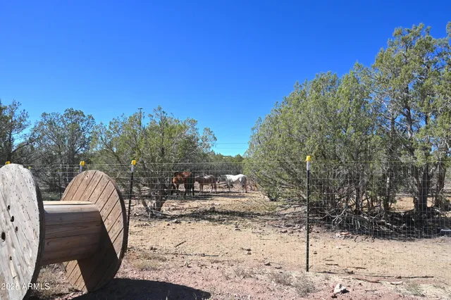 a view of a backyard with snow on the road