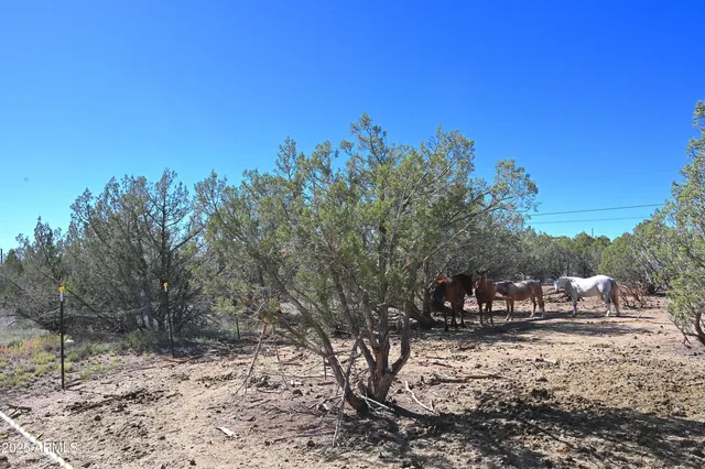 a view of house with outdoor space and sitting space