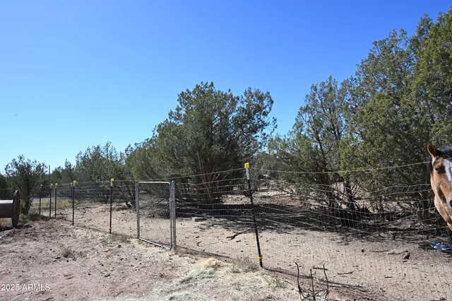 a view of a yard with wooden fence