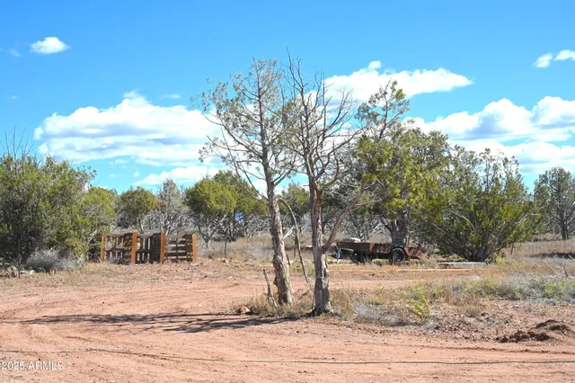 a view of road with trees