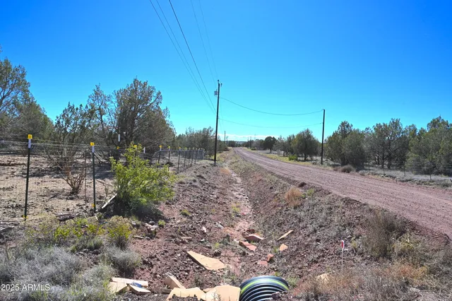 a view of a dry yard with wooden fence