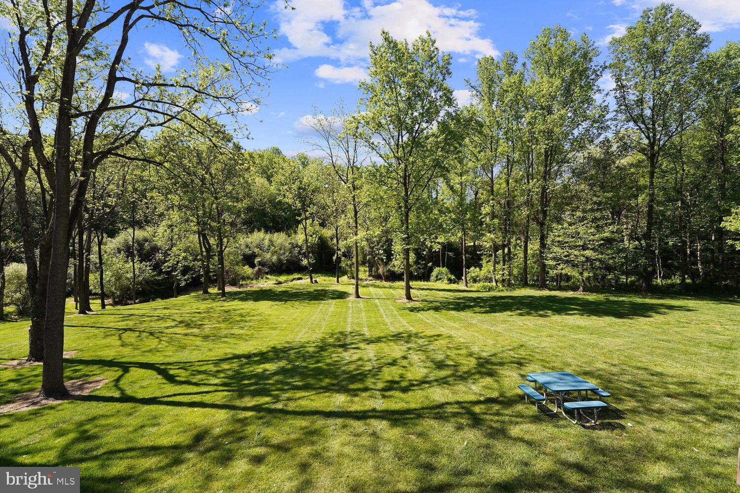 813 Marlboro Spring Road Kennett Square, PA 19348 - Photo 40 of 57 Amazing Back Yard View