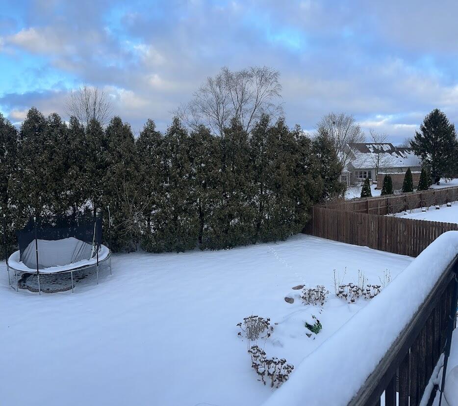 1518 West 96th Place Crown Point, IN 46307 - Photo 17 of 37 a view of a backyard with plants and a garden