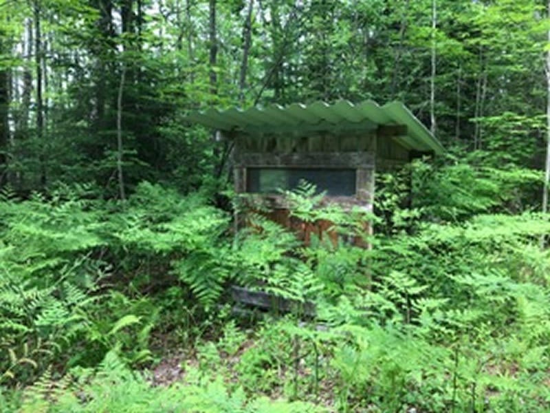 18325 South Sullivan Creek Road Rudyard, MI 49780 - Photo 10 of 30 Gallery Image 10