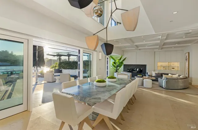 a view of a patio with couches chairs and a potted plant