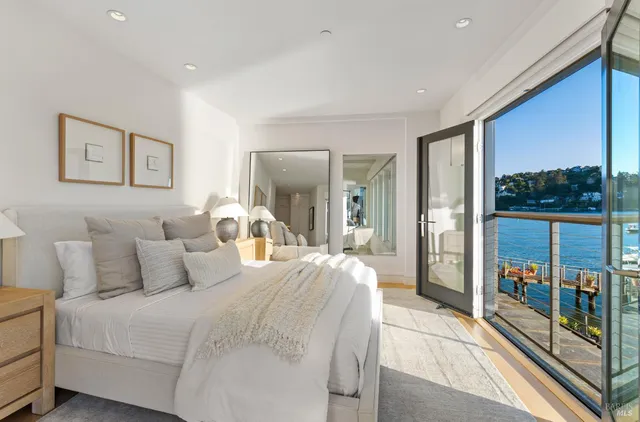 a view of a garden with plants