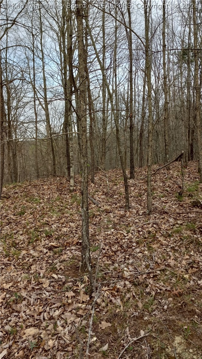0 Rheva Lane Leon, WV 25123 - Photo 7 of 13 Gallery Image 7