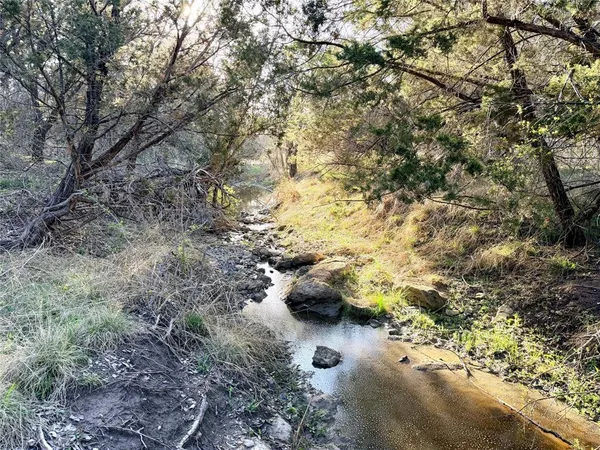 a view of top of a forest with trees