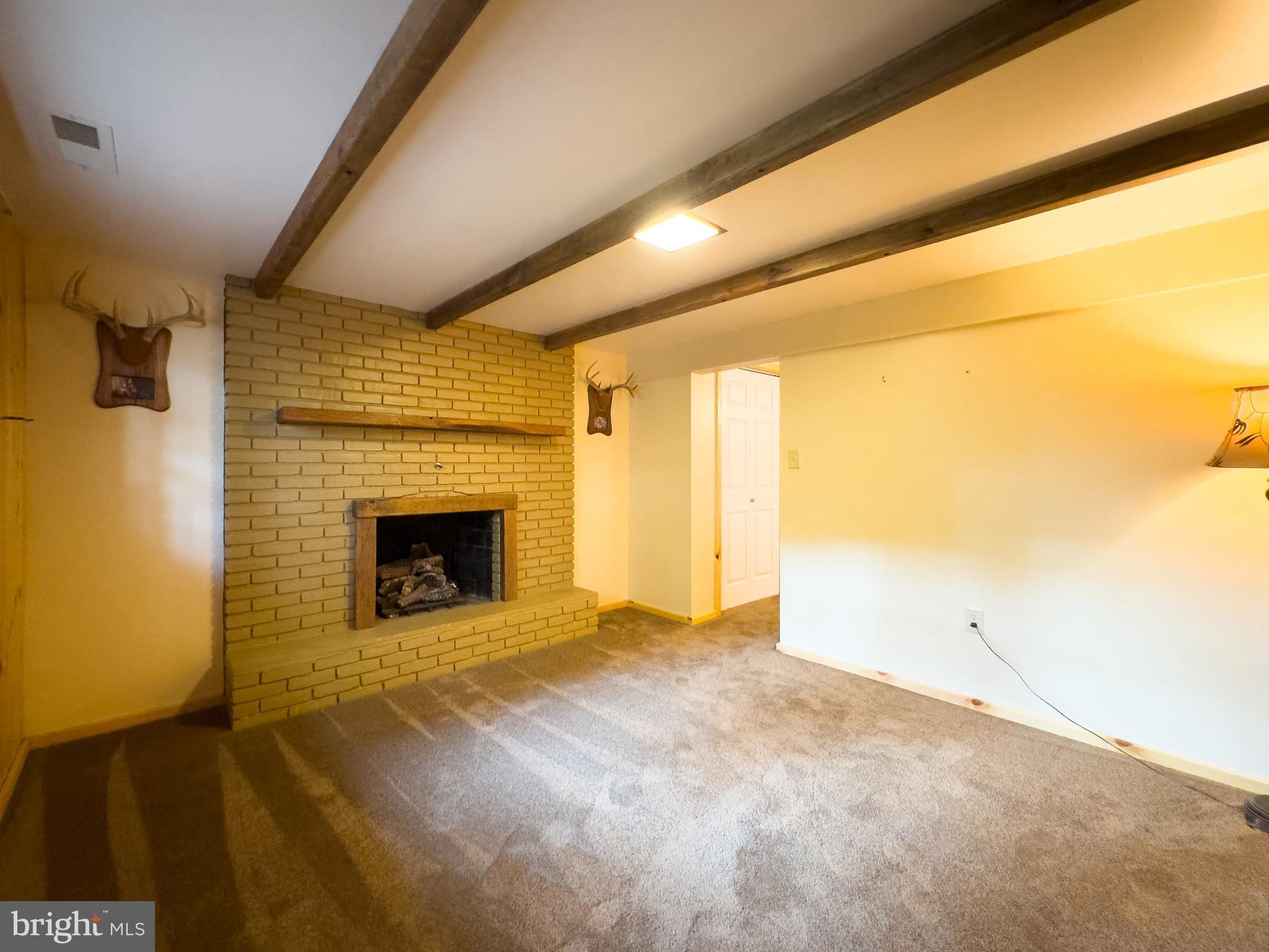 6007 Colebrook Road Palmyra, PA 17078 - Photo 30 of 31 Fireplace