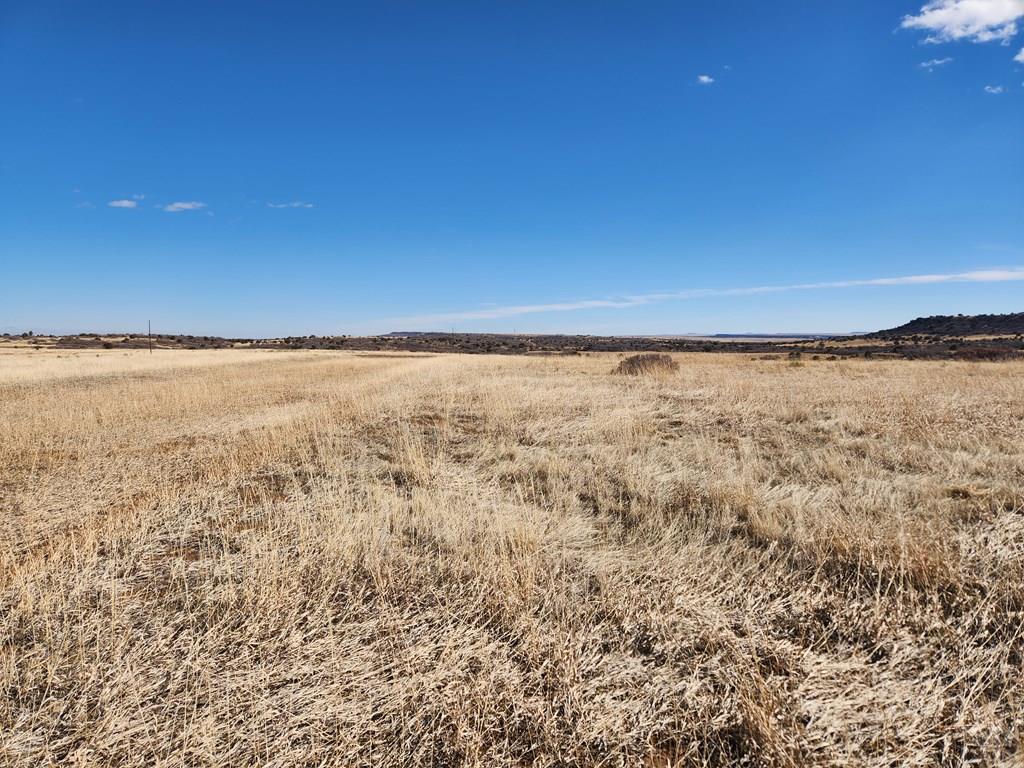 Tbd Moon Drive Rye, CO 81069 - Photo 5 of 7