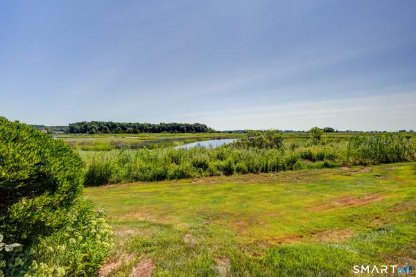 a view of a back yard of the house