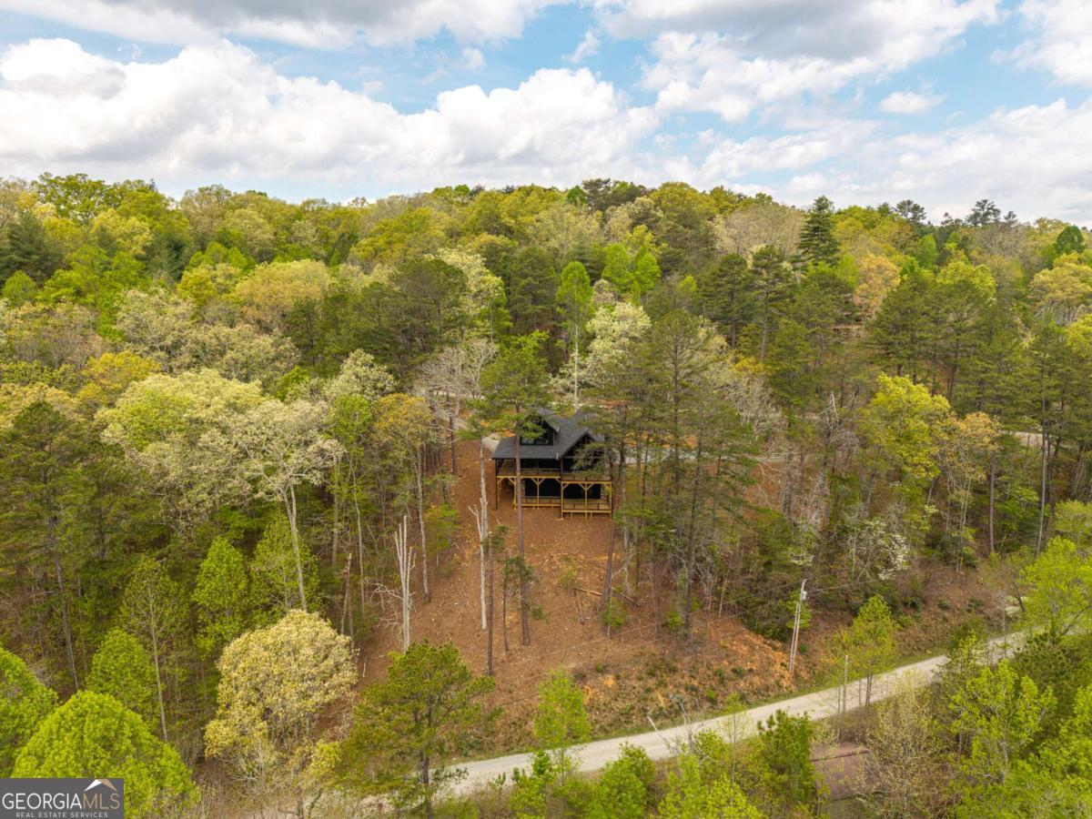 250 Wolfcreek Road, Unit 41 Mineral Bluff, GA 30559 - Photo 44 of 56
