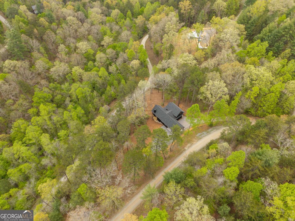 250 Wolfcreek Road, Unit 41 Mineral Bluff, GA 30559 - Photo 46 of 56