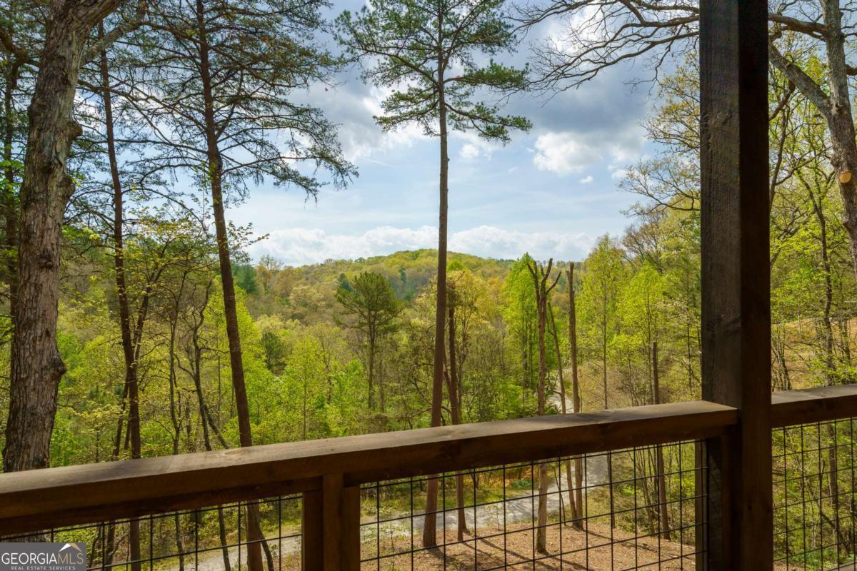 250 Wolfcreek Road, Unit 41 Mineral Bluff, GA 30559 - Photo 50 of 56