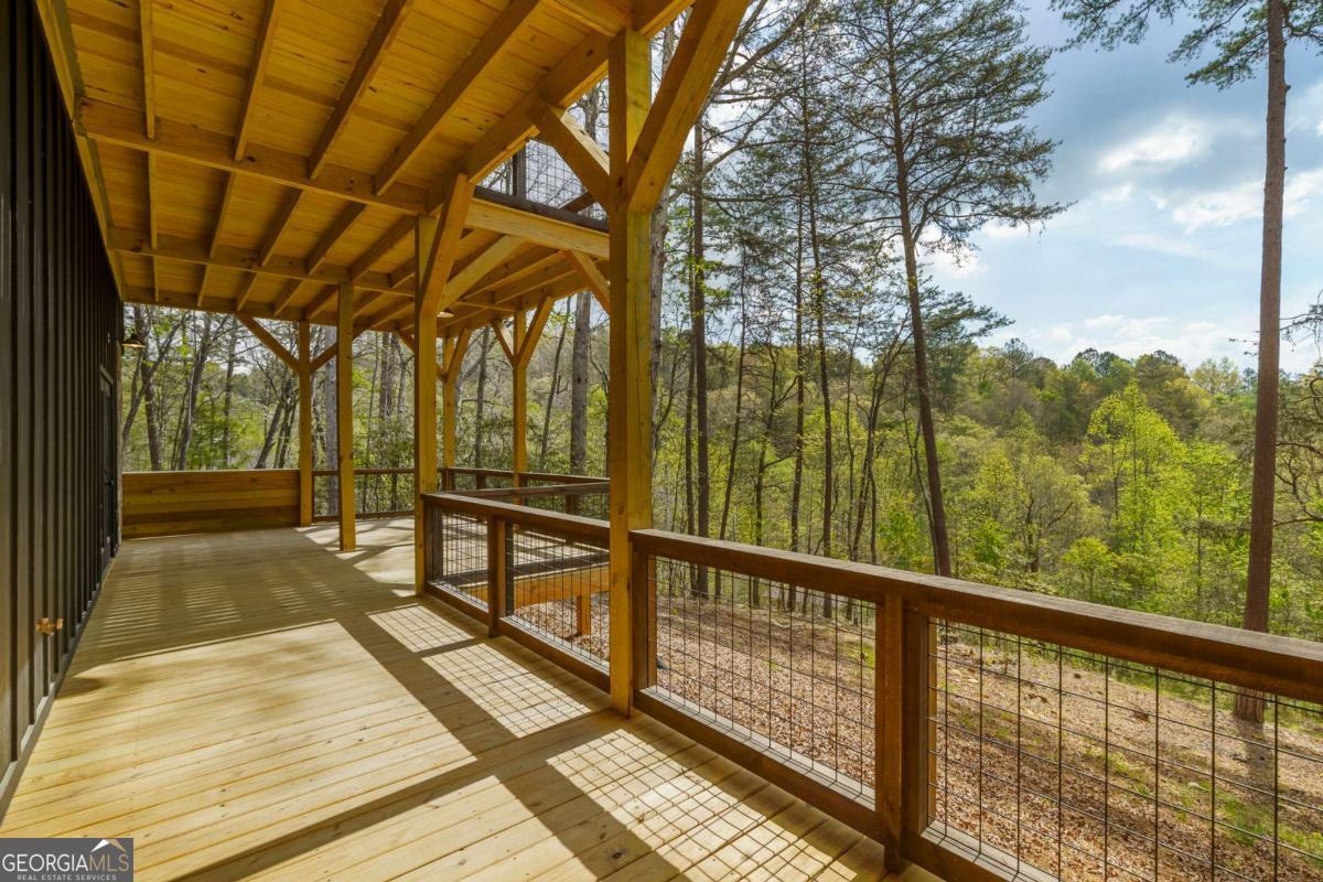 250 Wolfcreek Road, Unit 41 Mineral Bluff, GA 30559 - Photo 52 of 56