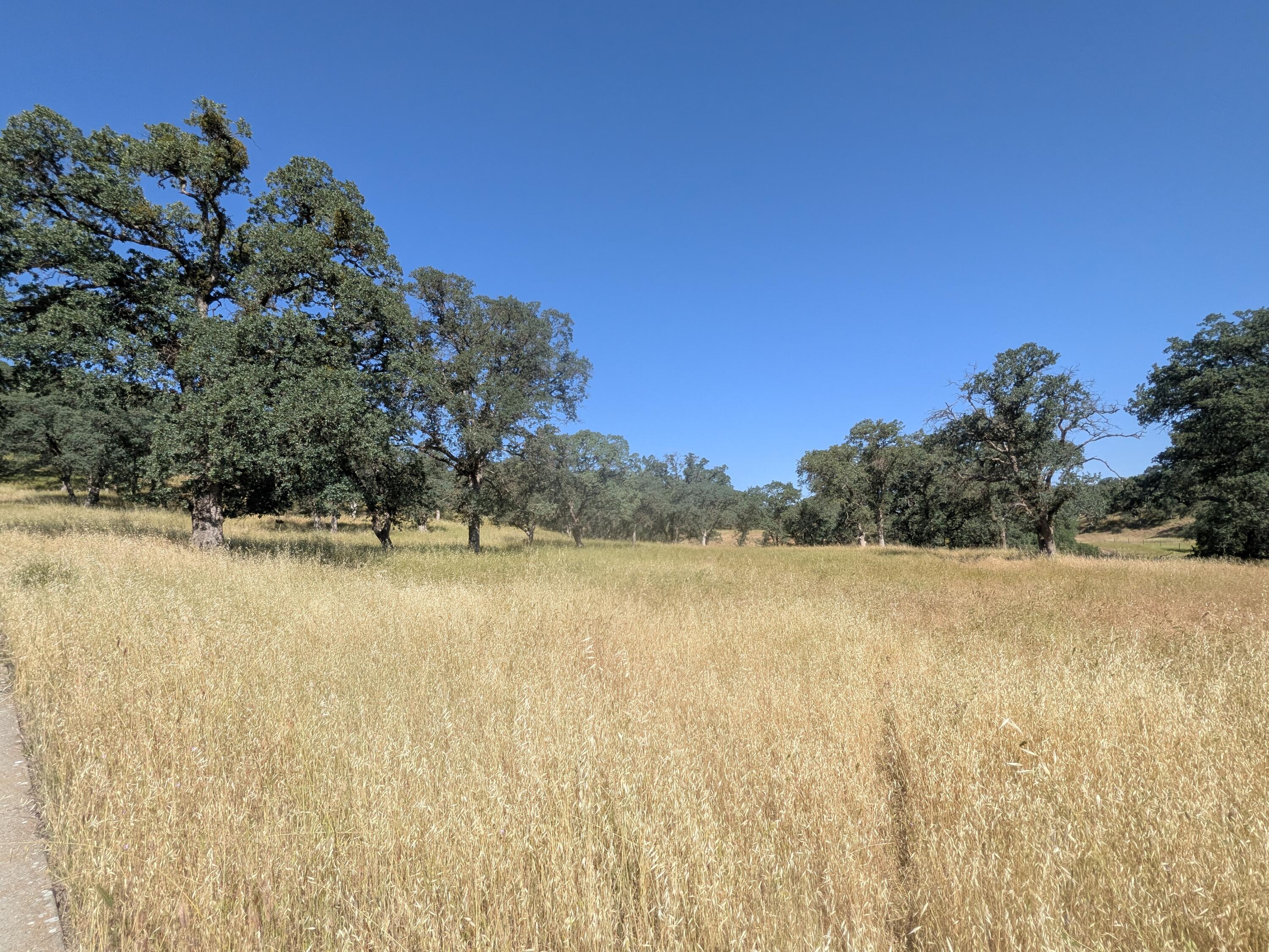 22580 Rio Robles Drive Red Bluff, CA 96080 - Photo 7 of 8 PXL_20260429_172815241