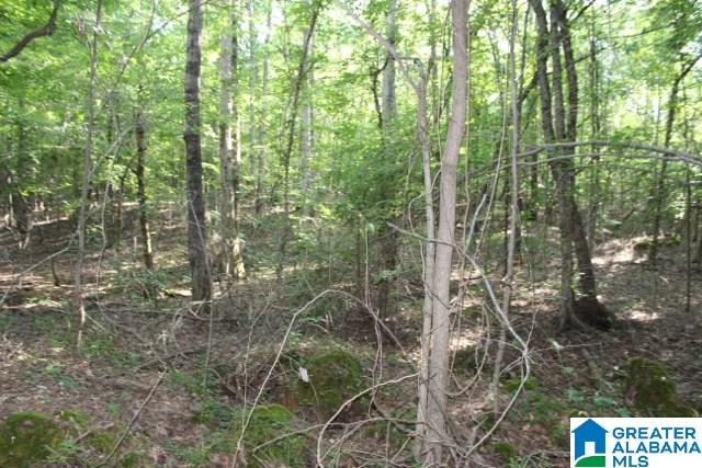 1 Benefield Gap Road Attalla, AL 35954 - Photo 15 of 50