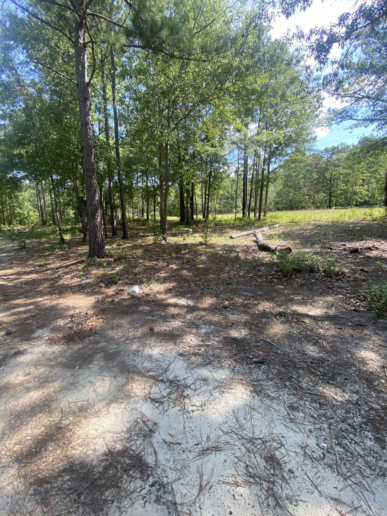 5855 Goett Road Dearing, GA 30808 - Photo 11 of 12 IMG_3886