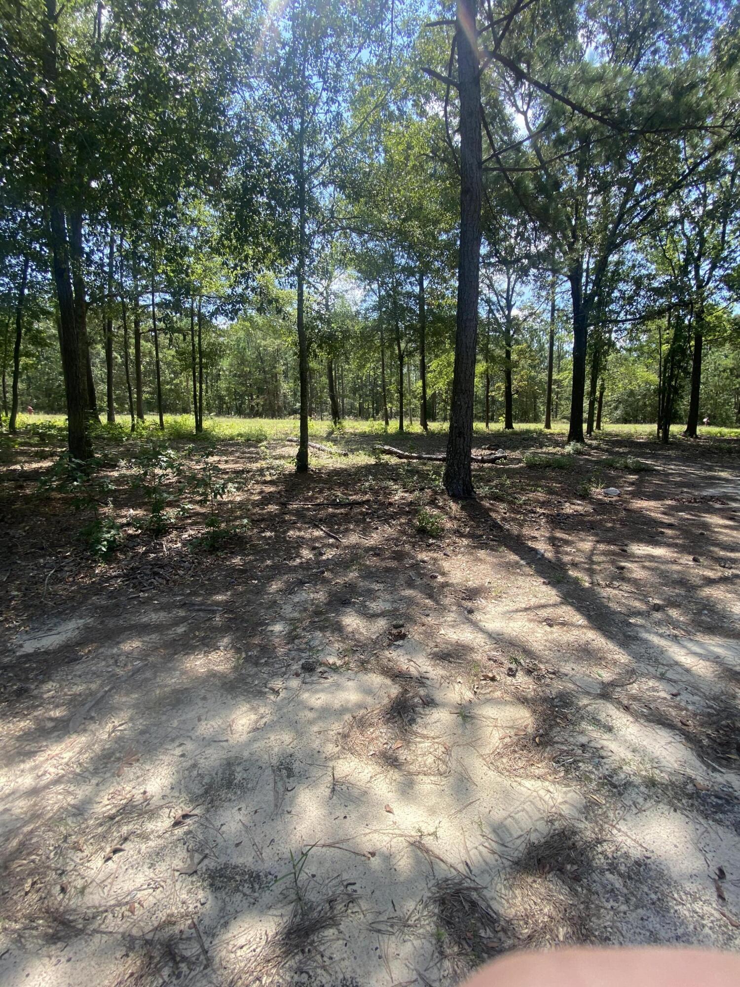 5855 Goett Road Dearing, GA 30808 - Photo 10 of 12 IMG_3882