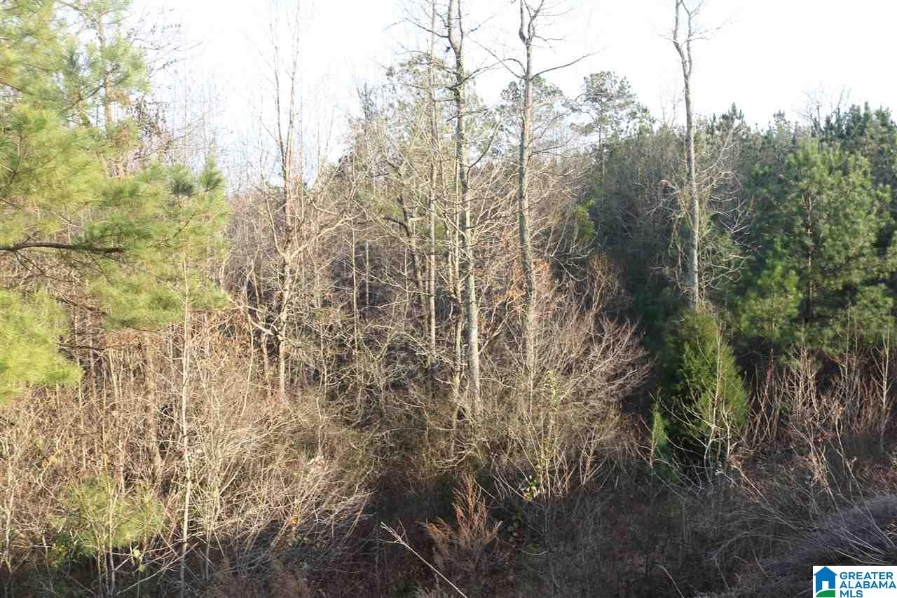 0 County Road 928, Unit 36 Delta, AL 36258 - Photo 20 of 20