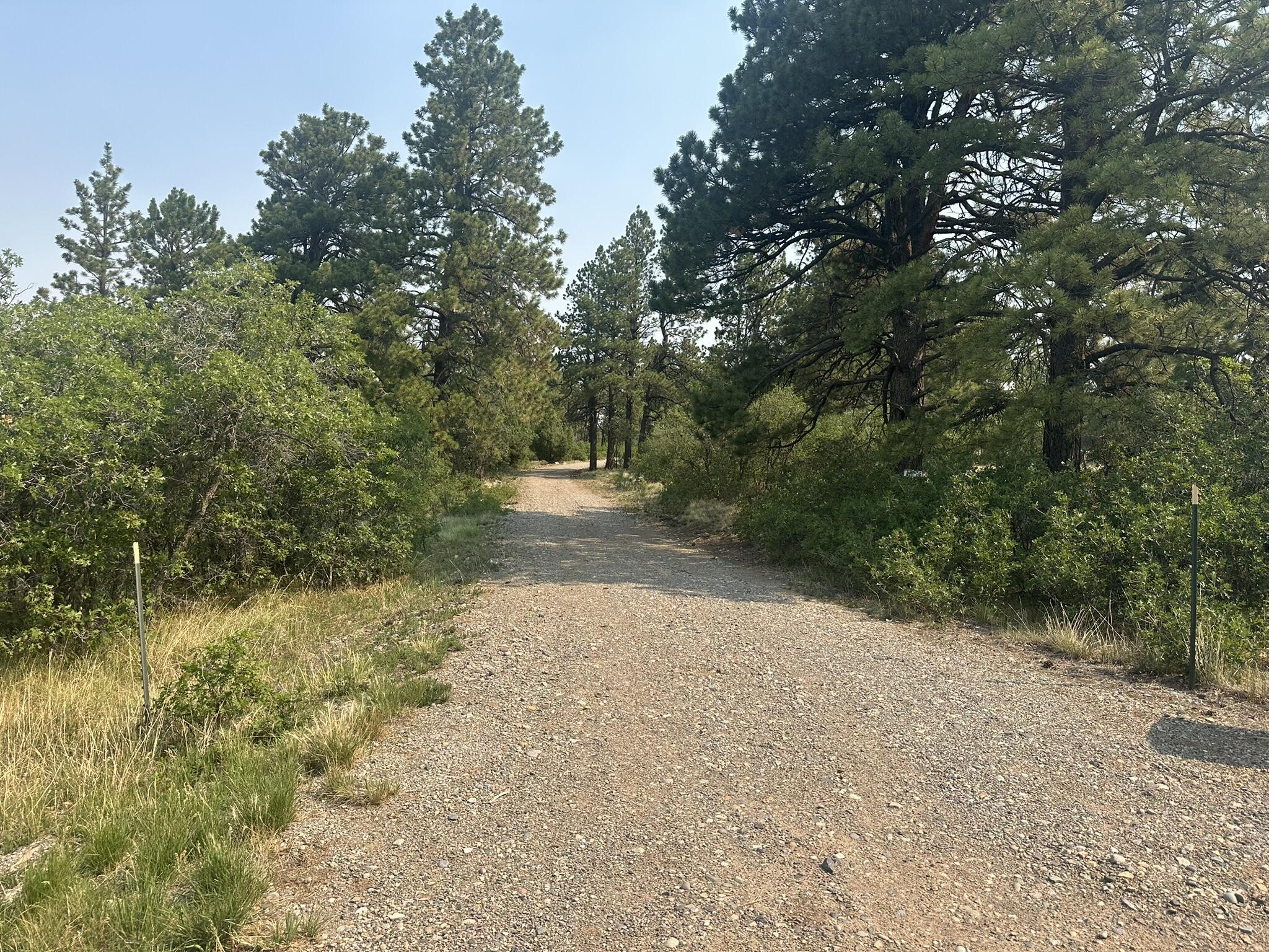 Driveway Entrance