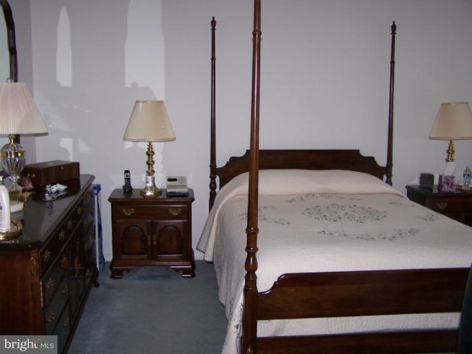 13530 Ryton Ridge Lane Gainesville, VA 20155 - Photo 11 of 22 Bedroom (Master)