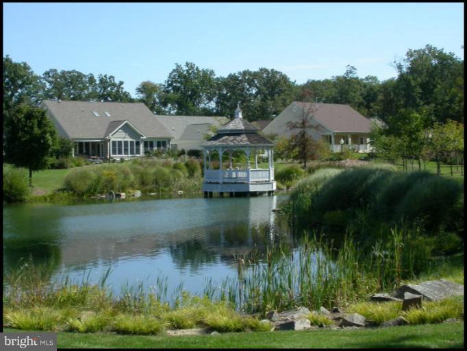 13530 Ryton Ridge Lane Gainesville, VA 20155 - Photo 16 of 22 Community