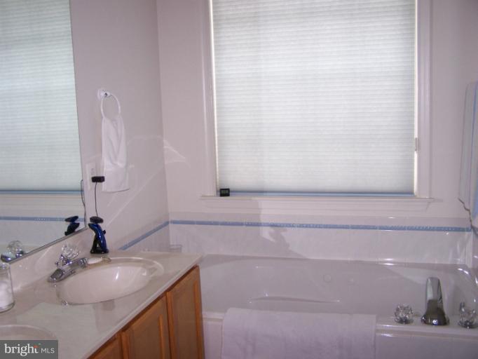 13530 Ryton Ridge Lane Gainesville, VA 20155 - Photo 19 of 22 Bath (Master)