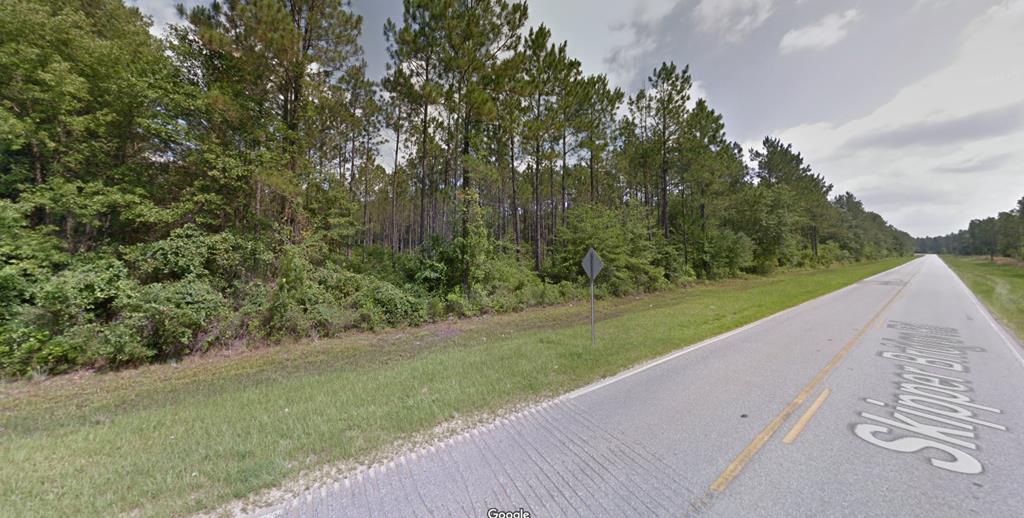 Lot 19 Staten Road Hahira, GA 31632 - Photo 21 of 27 Gallery Image 21