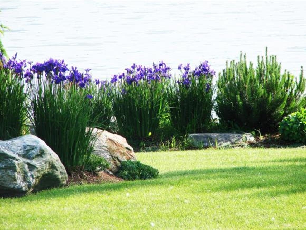 640 Converse Bay Road Charlotte, VT 05445 - Photo 15 of 39 Gallery Image 15