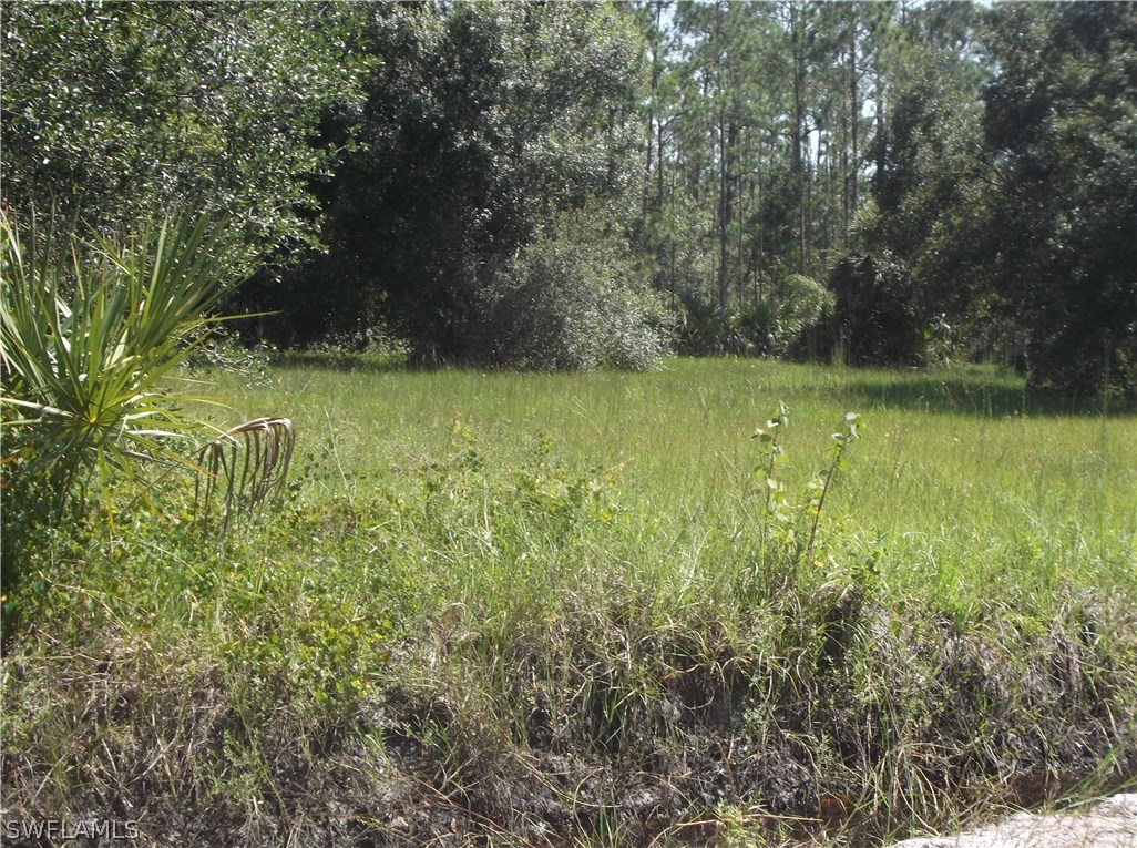 211 Kirby Thompson Road Fort Denaud, FL 33935 - Photo 1 of 4 Gallery Image 1