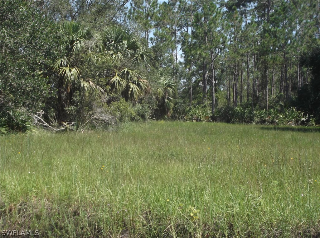 211 Kirby Thompson Road Fort Denaud, FL 33935 - Photo 2 of 4 Gallery Image 2