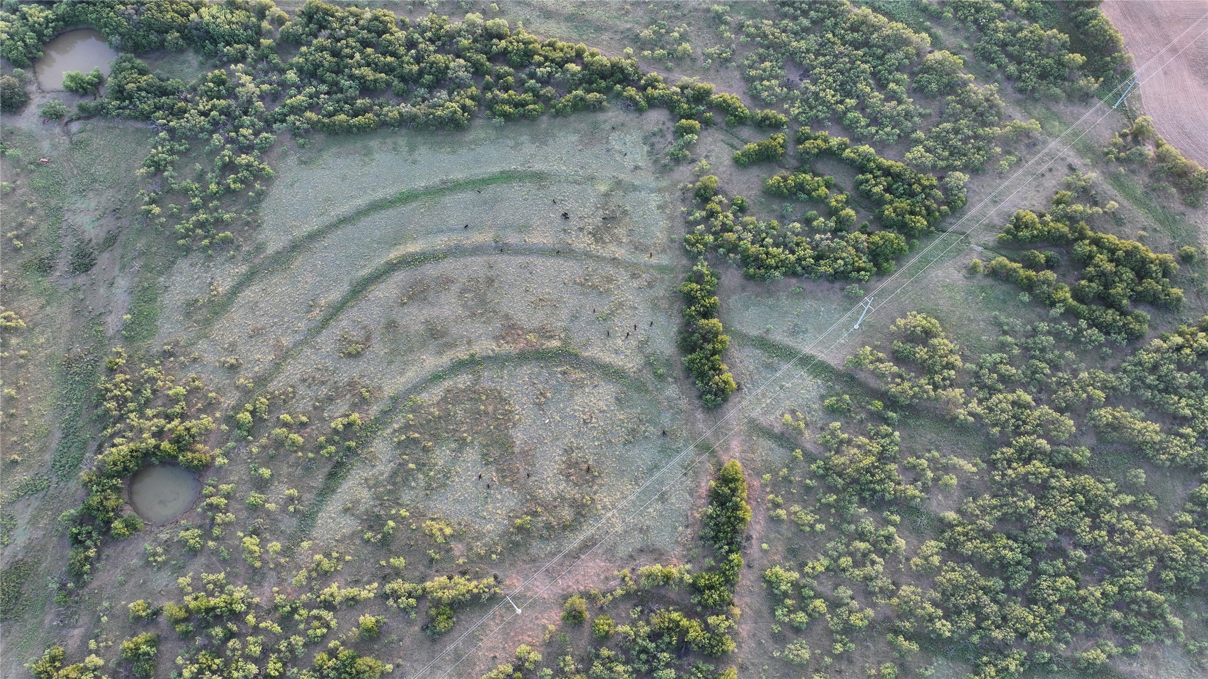 0 Butler Loop Graham, TX 76450 - Photo 7 of 12