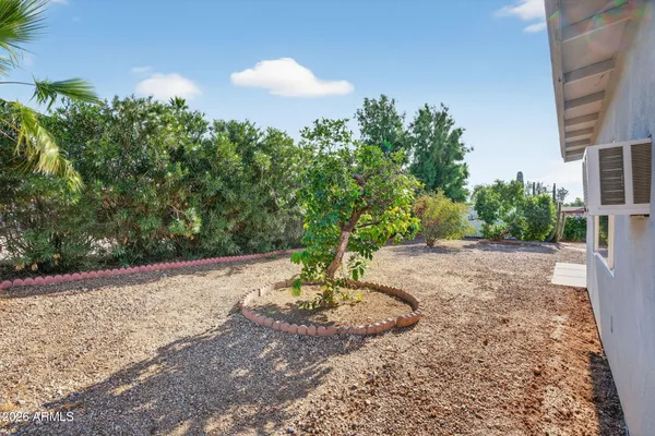 a view of a backyard