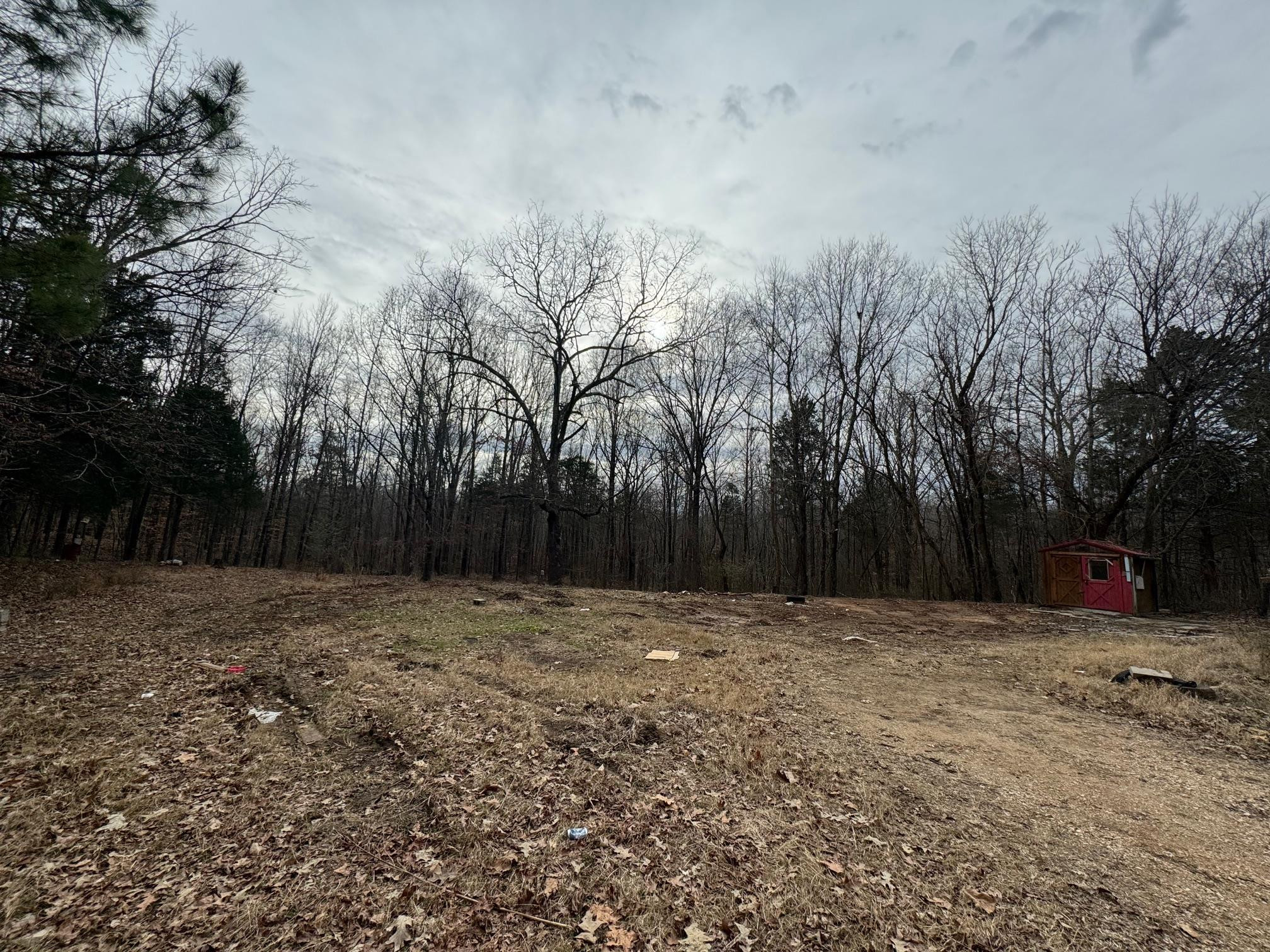 2600 Ashport Road Jackson, TN 38305 - Photo 4 of 14 Photo 4
