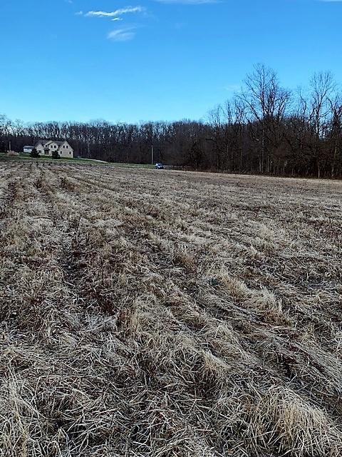 0 Bennington Chapel Road Croton, OH 43013 - Photo 13 of 14 Gallery Image 13